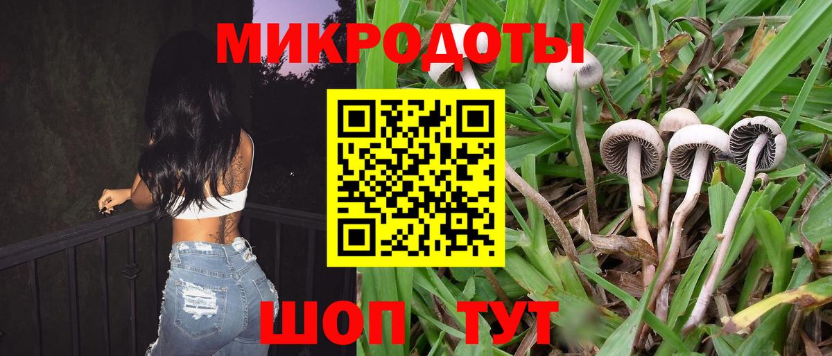 Псилоцибиновые грибы мухоморы  Галлюциногенные грибы ЛСД  купить   Вход с VPN  Удомля 